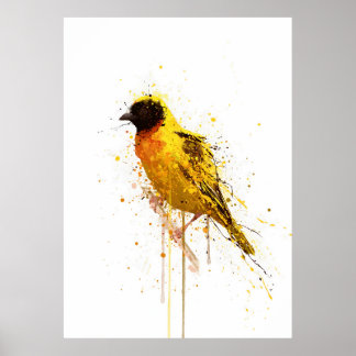 Yellow-Backed Weaver Bird Poster