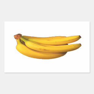 Yellow bananas in a bunch sticker