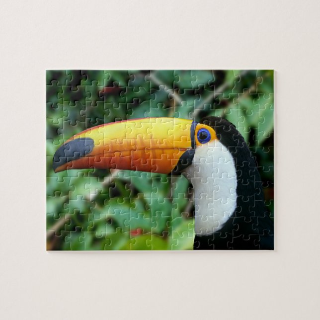 Yellow Beaked Toucan Jigsaw Puzzle (Horizontal)