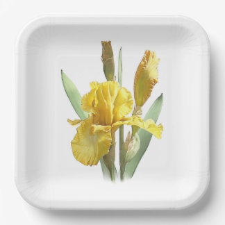Yellow Bearded Iris Botanical Art Paper Plates