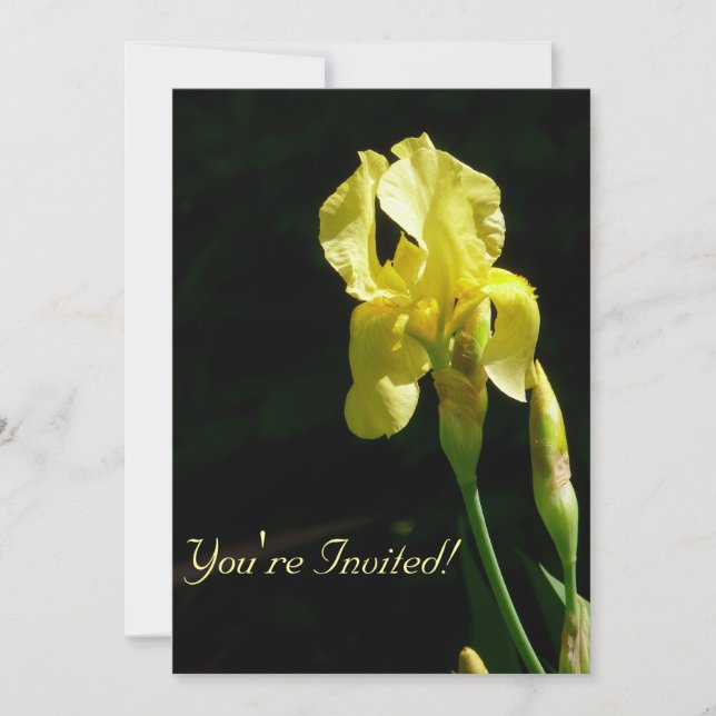 Yellow Bearded Iris Invitation (Front)