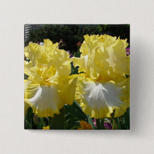 Yellow Bearded Iris Irises Flowers floral 2 Inch Square Button