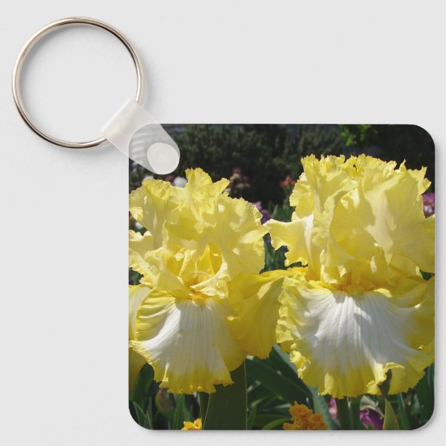 Yellow Bearded Iris Irises Flowers floral Poster Keychain (Front)