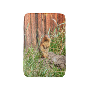 Yellow-bellied Marmot by a Barn Wildlife Photo Bath Mat