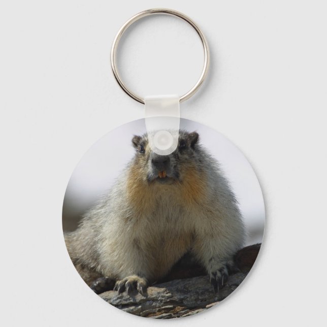 Yellow Bellied Marmot Keychain (Front)
