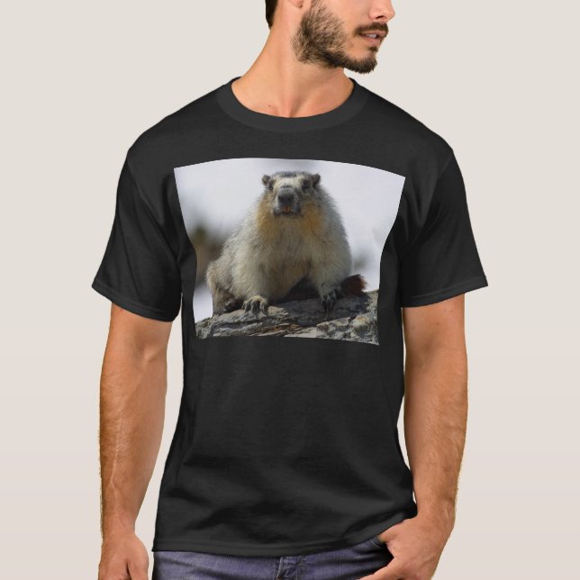 Yellow Bellied Marmot T-Shirt (Front)