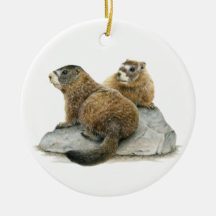 Yellow-bellied Marmots Ceramic Ornament