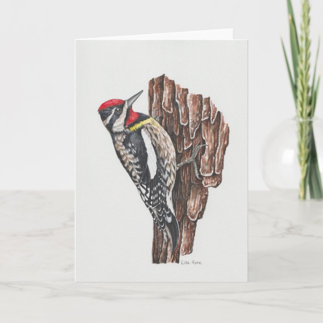Yellow-bellied Sapsucker Art Card (Front)