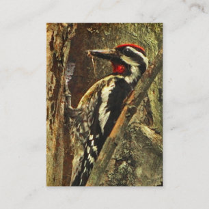 Yellow-bellied Sapsucker ATC Business Card
