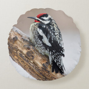 Yellow-bellied Sapsucker male Round Pillow