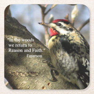Yellow-bellied Sapsucker Meditation Coaster Set.