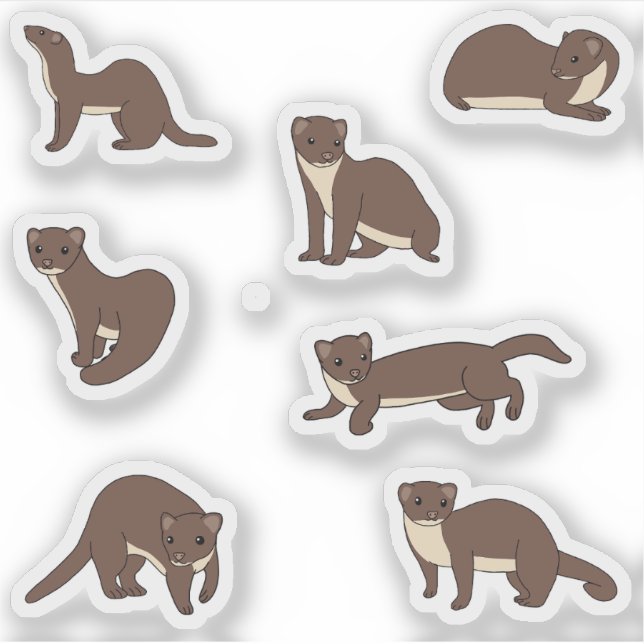 Yellow bellied Weasels  (Front)