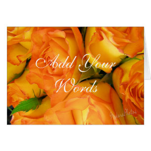 Yellow Bi-colour Roses-customize