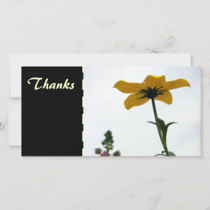 Yellow Bidens Floral Photography Thank You Photo C
