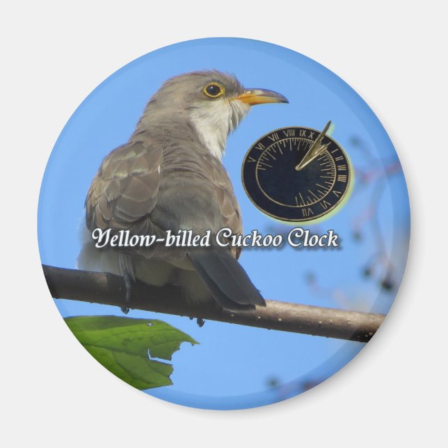 Yellow-billed Cuckoo magnet (Front)