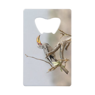 Yellow billed hornbill credit card bottle opener