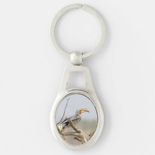 Yellow billed hornbill keychain