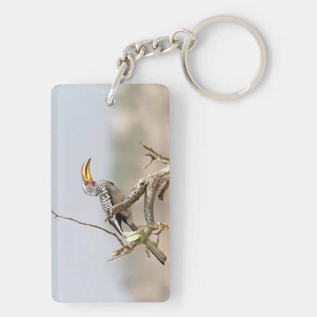 Yellow billed hornbill keychain (Back)
