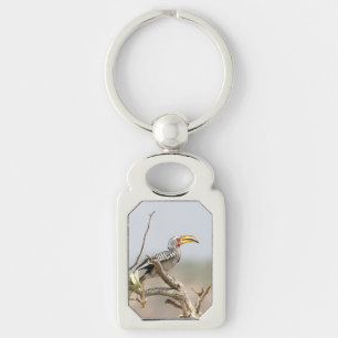 Yellow billed hornbill keychain