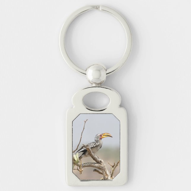 Yellow billed hornbill keychain (Front)