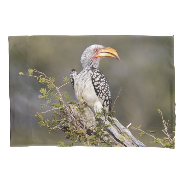 Yellow billed hornbill pillowcase (Front)