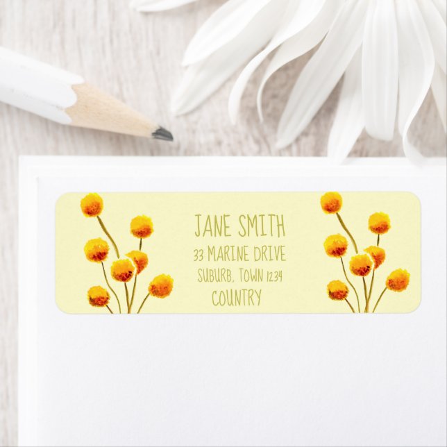 Yellow Billy Button native Australian flower (Insitu)