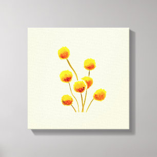 Yellow Billy Button native Australian flower Canvas Print