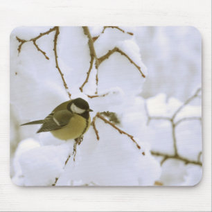 Yellow bird in the snow Photo Mousepad