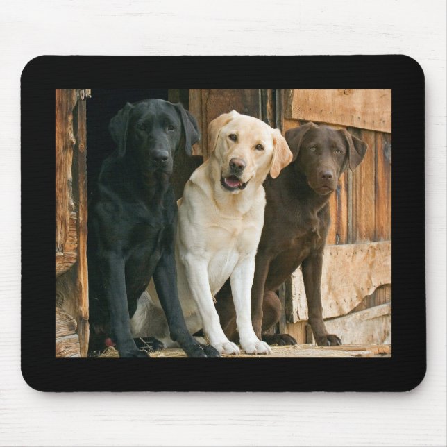 Yellow, Black, Brown Labrador Retriever Mousepad (Front)