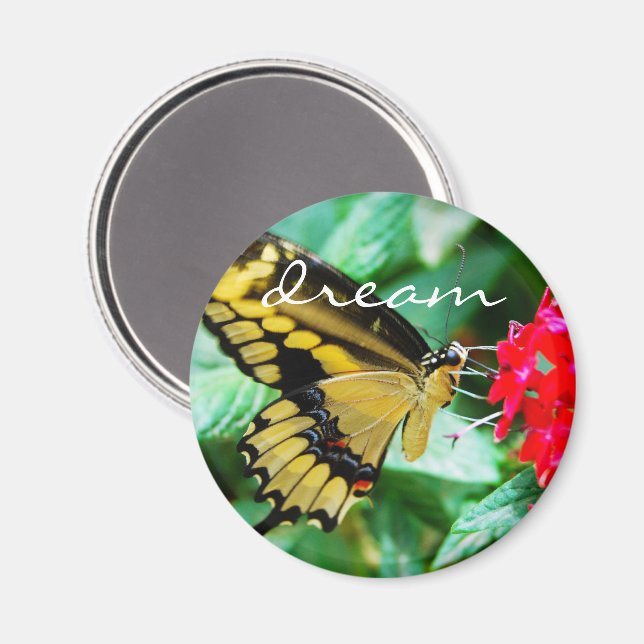 Yellow black butterfly photo dream quote script magnet (Front/Back)