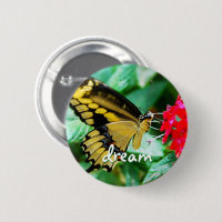 Yellow black butterfly photo dream script modern