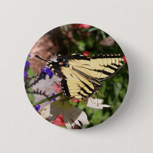 Yellow & Black Fantail Butterfly 2 Inch Round Button