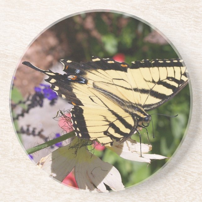Yellow & Black Fantail Butterfly Coaster (Front)