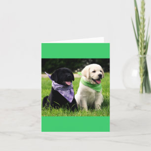 Yellow & Black Labrador Retriever Puppy Note Card