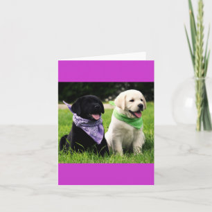 Yellow & Black Labrador Retriever Puppy Note Card