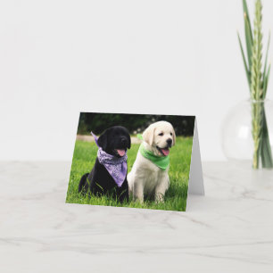 Yellow & Black Labrador Retriever Puppy Note Card