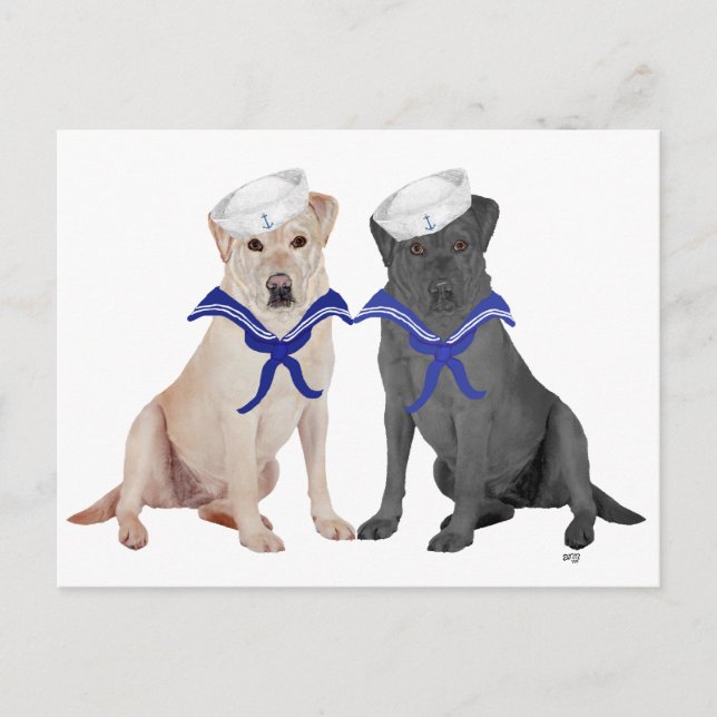 Yellow & Black Labrador Retrievers Postcard (Front)