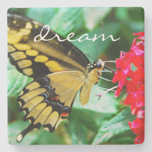 Yellow Black Swallowtail Butterfly Dream Script Stone Coaster