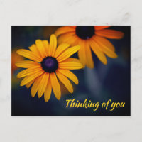 Yellow Blackeyed Susan Garden Flower Missing You