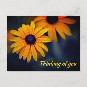 Yellow Blackeyed Susan Garden Flower Missing You Postcard