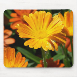 Yellow Blossoms Flowers Art Peace Love Destiny Mouse Pad
