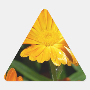 Yellow Blossoms Flowers Art Peace Love Destiny Triangle Sticker