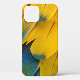 Yellow blue and red birds of paradise flower iPhone 12 case