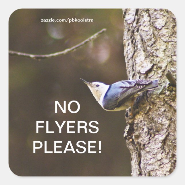 Yellow & Blue bird No Flyers Please Sticker (Front)