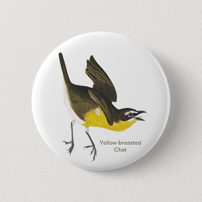 Yellow-breasted Chat, Audubon, Birdwatcher Warbler 2 Inch Round Button (Front)