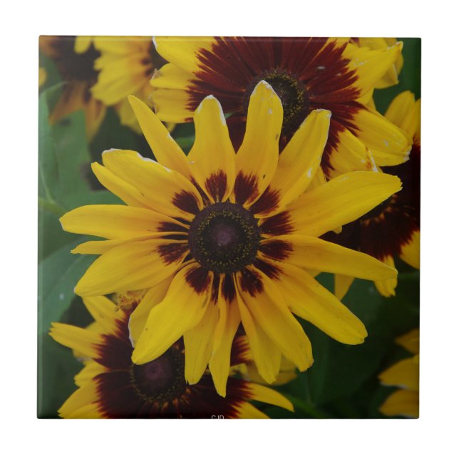 Yellow Brown Flowers tile (Front)