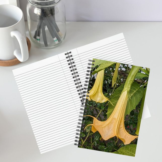 Yellow Brugmansia Bloom Floral Notebook (In Situ)