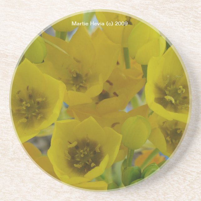Yellow Bulb Blooms - Coaster (Front)
