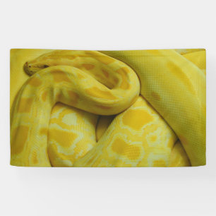 Yellow Burmese Python Banner