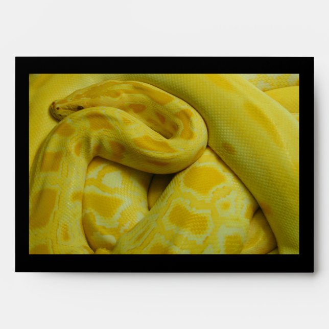 Yellow Burmese Python Envelope (Front)